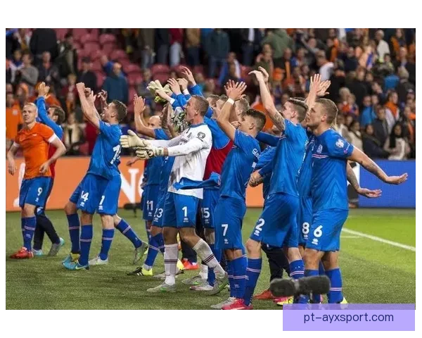 韩国冰岛足球直播事件引发的媒体风波与公众反应解析